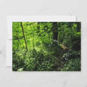 Cartão Caminho na floresta