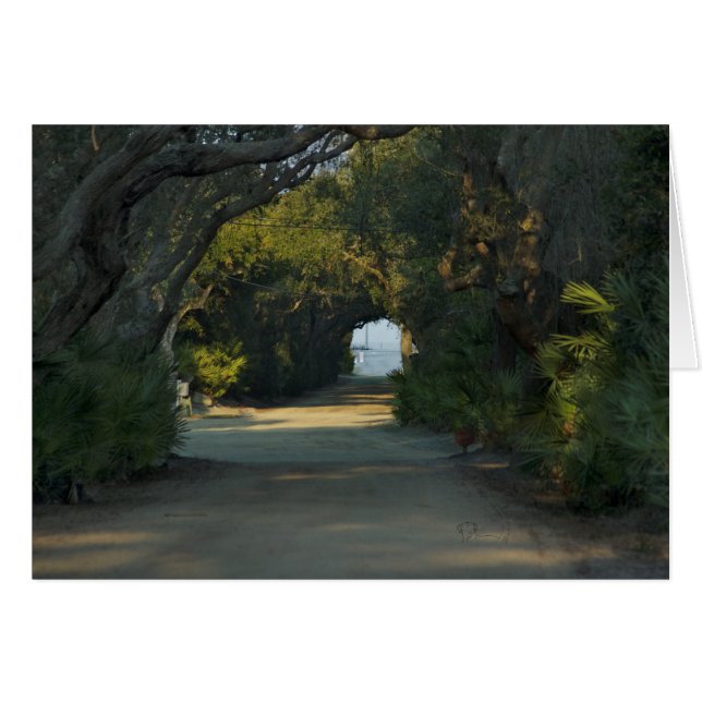 Cartão Caminho pacífico (Frente horizontal)