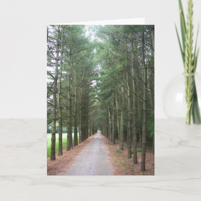 Cartão Caminhos (Frente)