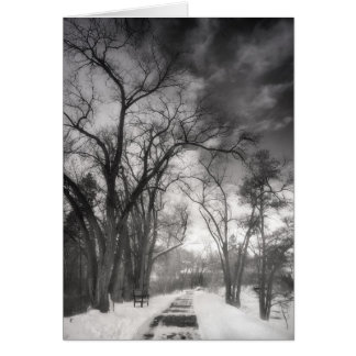 Cartão Caminhos de inverno