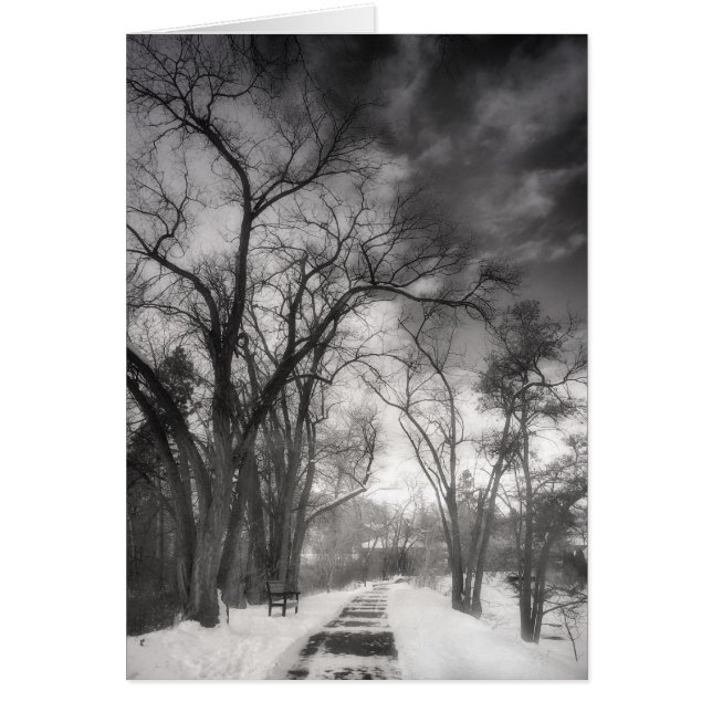 Cartão Caminhos de inverno (Frente)