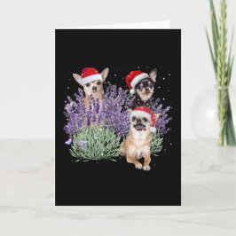 Cartão Camisa de Natal Flor Lavanda de Chihuahua Chihuahu