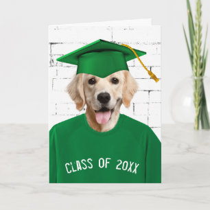 Cartão Camiseta Verde Golden Retriever Graduado