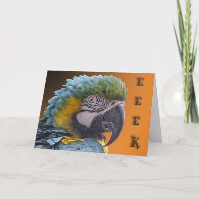 Cartão Campainha (Frente)