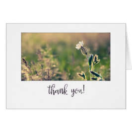 Cartão Campanha Rosa, Flor Selvagem, Obrigado