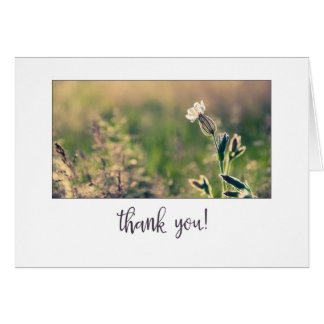 Cartão Campanha Rosa, Flor Selvagem, Obrigado