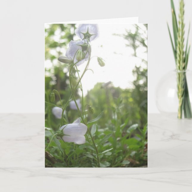 Cartão Campânia (Frente)