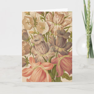 Cartão Campanula   George Nicholson