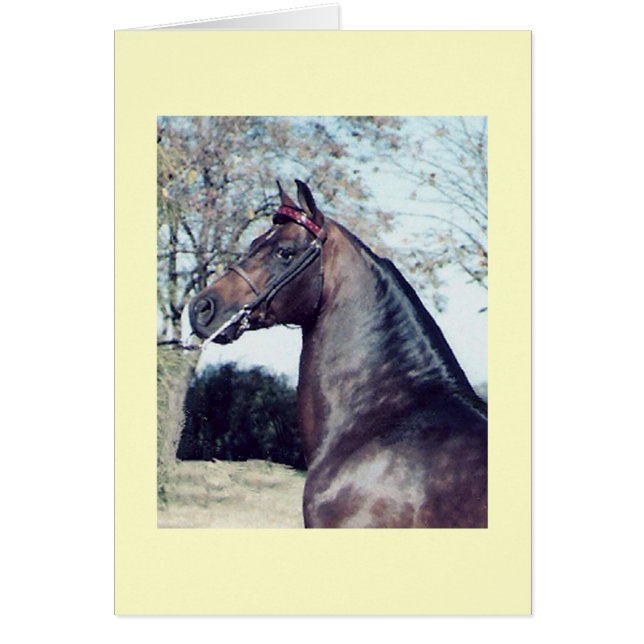 Cartão Campeão (Frente)