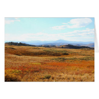 Cartão Campo castanho-aloirado de Yellowstone