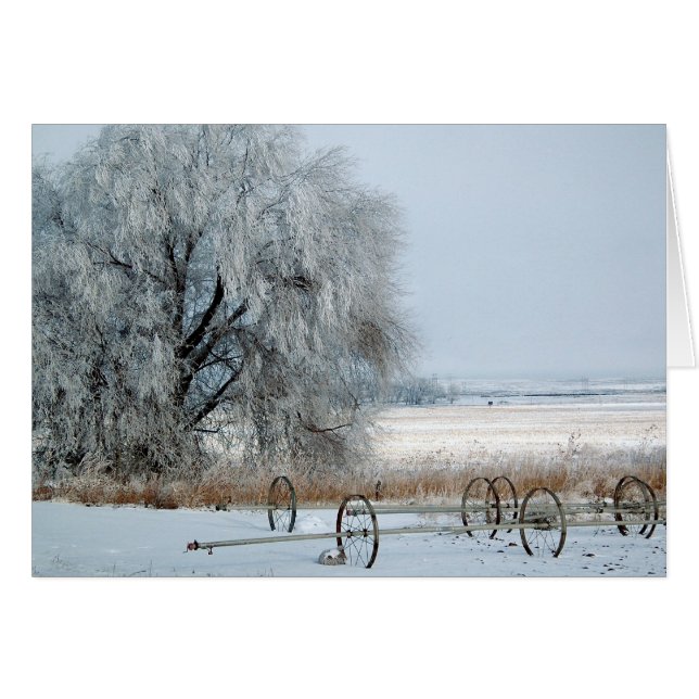 Cartão Campo congelado (Frente Horizontal)
