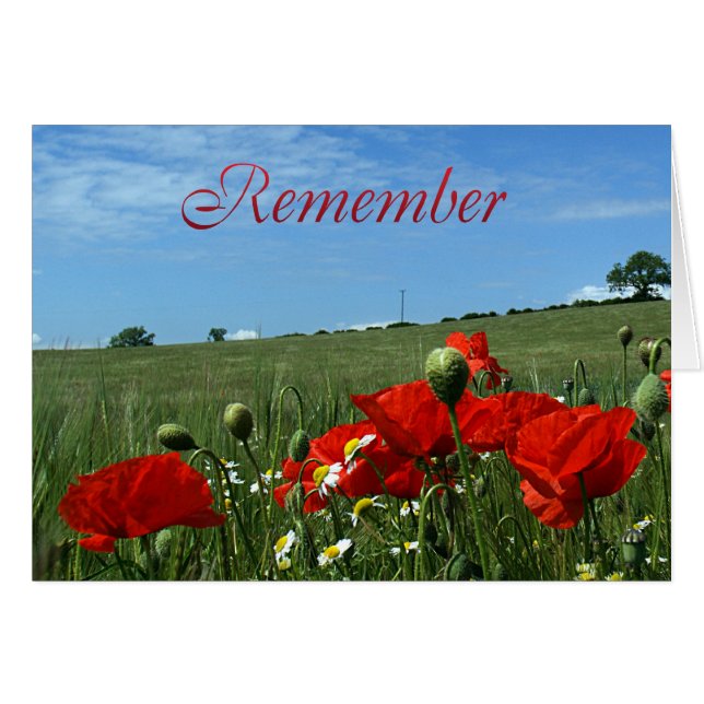 Cartão Campo da papoila do dia da relembrança (Frente Horizontal)