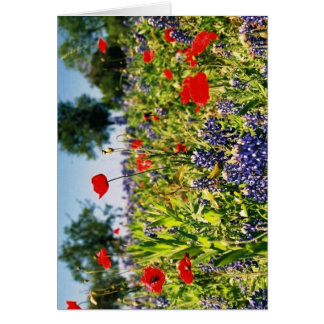 Cartão Campo das flores