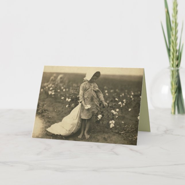 Cartão Campo de algodão (Frente)