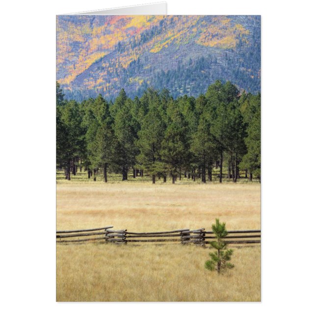 Cartão Campo de Flagstaff Colorido (Frente)