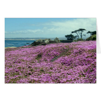 Cartão "Campo de flores"