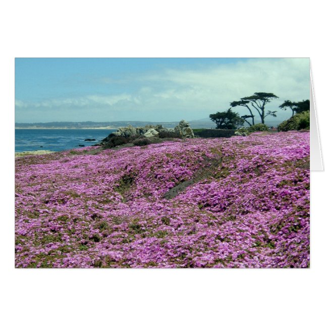 Cartão "Campo de flores" (Frente horizontal)