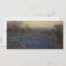 Campo de flores de Bluebonnet (paisagem rural)