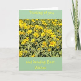 Cartão Campo de margaridas pensando em você