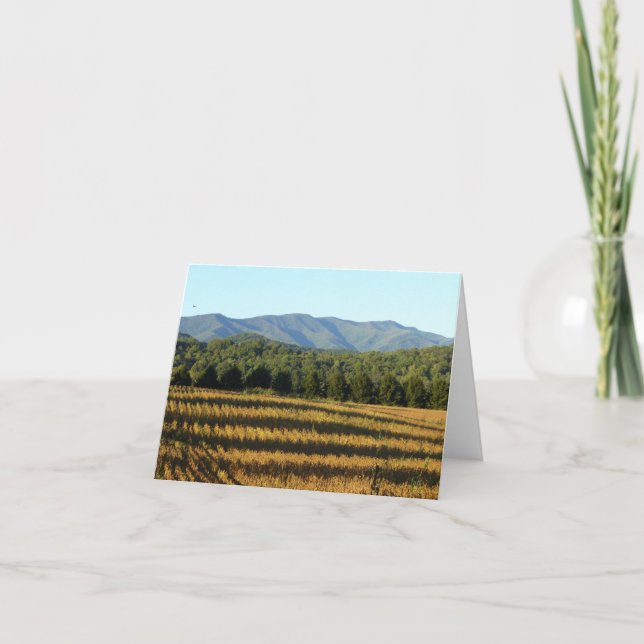 Cartão Campo de milho (Frente)