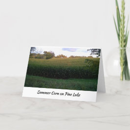 Cartão Campo de milho de verão na South Drive, Pine Lake
