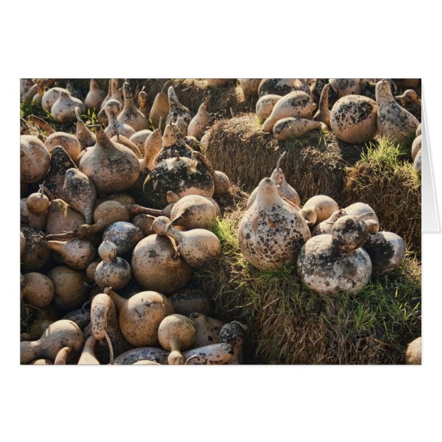 Cartão Campo de Nuvens Secas (Frente Horizontal)