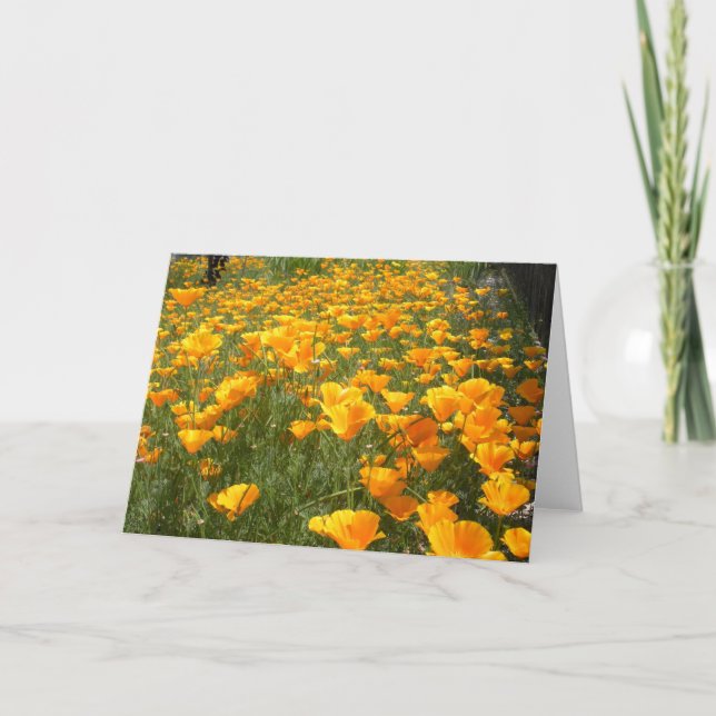 Cartão Campo de Sonhos (Frente)