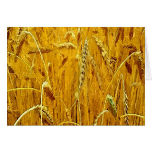 Cartão Campo de trigo amarelo