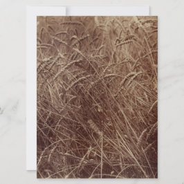 Cartão Campo de trigo (por Eugène Atget)