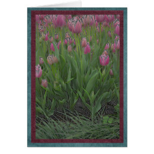 Cartão Campo de tulipas cor-de-rosa