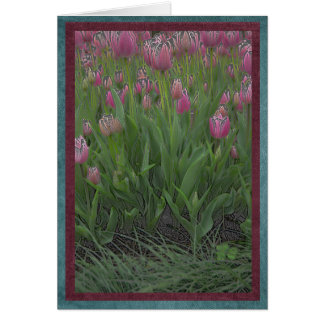 Cartão Campo de tulipas cor-de-rosa
