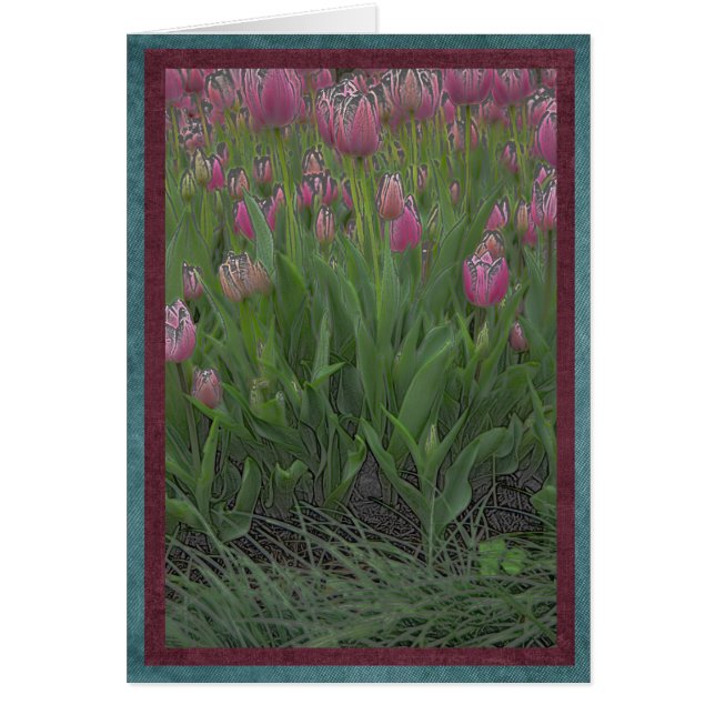 Cartão Campo de tulipas cor-de-rosa (Frente)