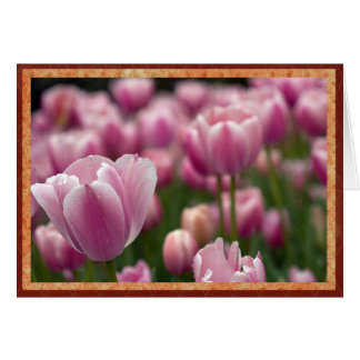 Cartão Campo de tulipas rosa