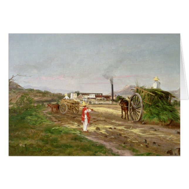 Cartão Camponeses que recolhem o cana-de-açúcar (Frente Horizontal)