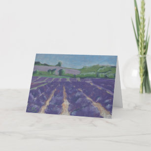 Cartão Campos de Lavanda em Provença - França -