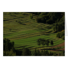 Cartão campos de outono, Prem, Eslovênia