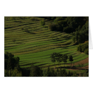 Cartão Campos do outono, Prem, Slovenia