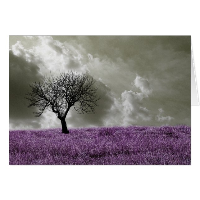 Cartão Campos Roxos (Frente Horizontal)