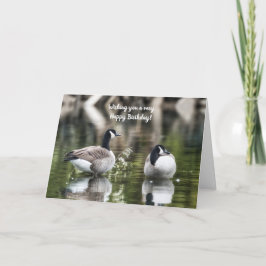 Cartão Canada Geese Birthday Card