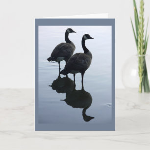 Cartão Canada Goose Cards Canada Geese Greeting Cards