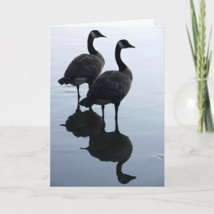 Cartão Canada Goose Cards Canada Geese Greeting Cards