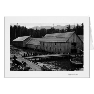 Cartão Canaria de Salmão perto de Ketchikan, Alaska