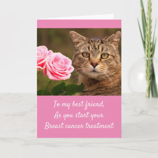 Cartão Cancer de Mama de Gatos e Rosas