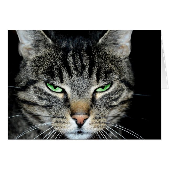 Cartão Cancer é difícil, mas você é um gato irritado (Frente Horizontal)