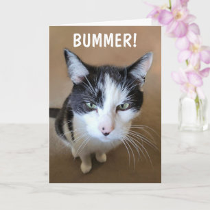 Cartão Cancer é um Bummer