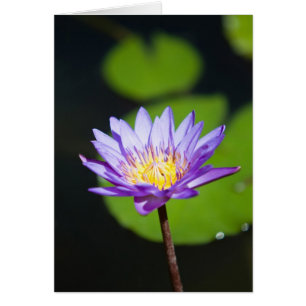 Cartão Cancun, México