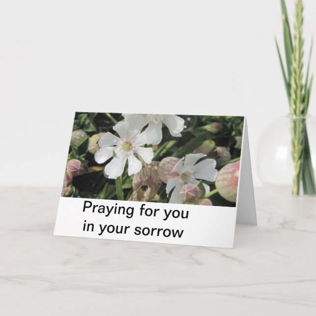 Cartão Candelárias de bexiga, Cornualha (Frente)