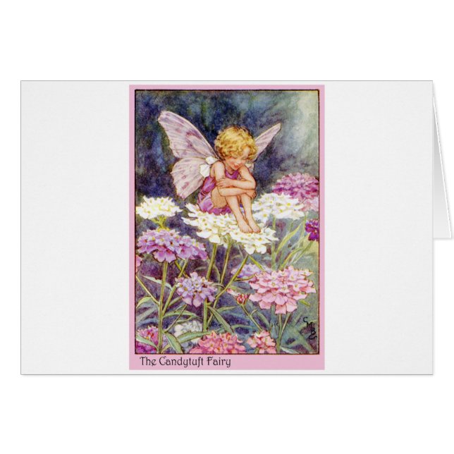 Cartão Candytuft Fairy (Frente Horizontal)