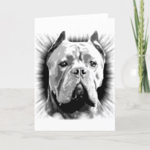 Cartão Cane Corso