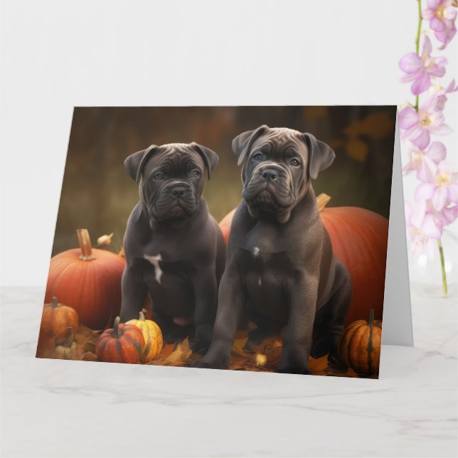 Cartão Cane Corso Puppy Autumn Delight Pumpkin (Orquídea)